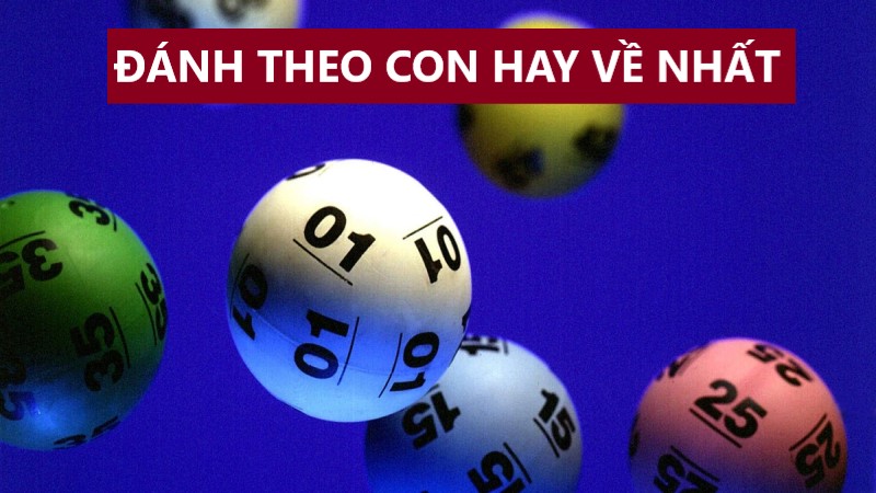 Đánh và xuống tiền cược theo con số lô đề hay về nhất